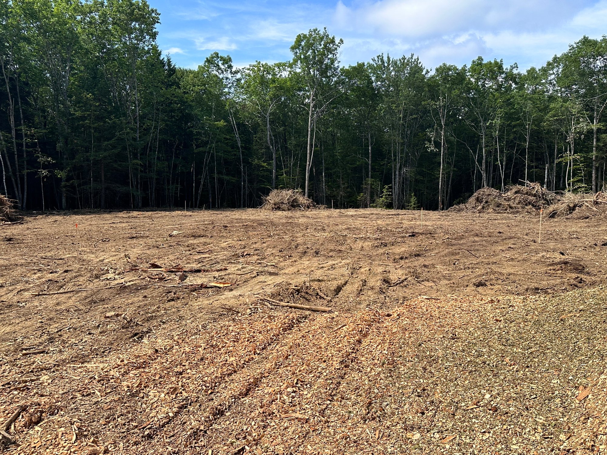 Understanding Maine Land Before You Build