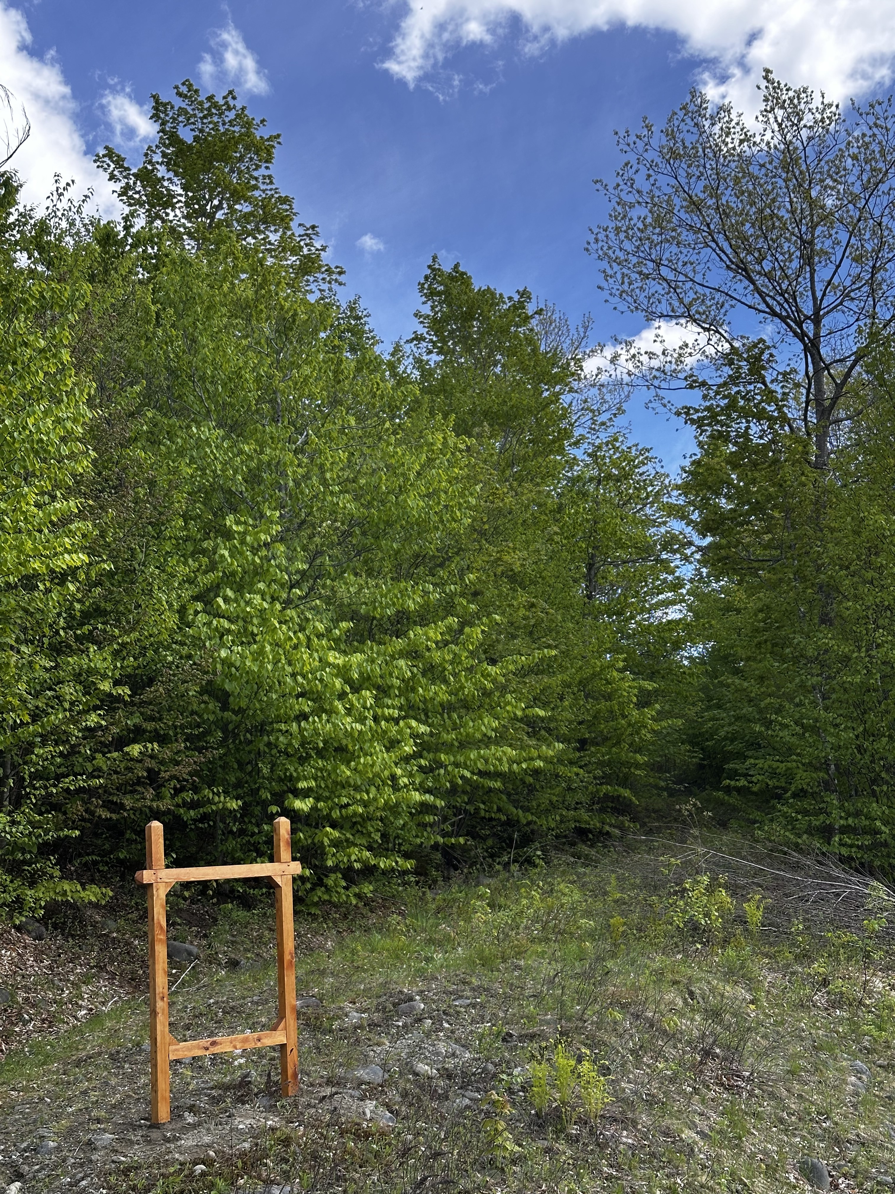 Photo May 26 2025, 2 34 34 PM